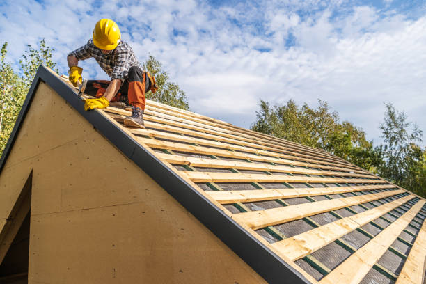 Best Roof Replacement Cost  in Norris City, IL