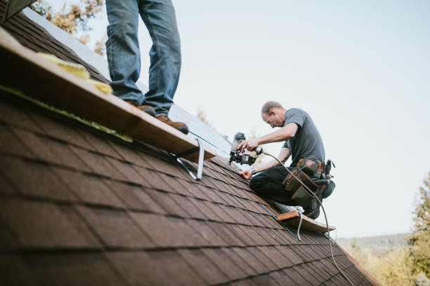 Best Storm Damage Roof Repair  in Norris City, IL