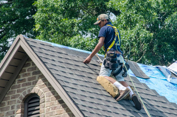 Best Gutter Installation and Roofing  in Norris City, IL